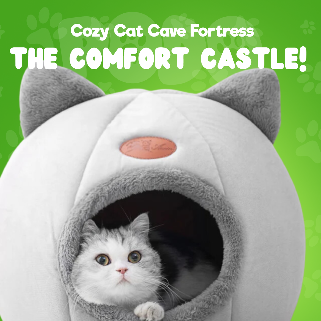 Cozy Cave Cat Fortress : The Comfort Castle